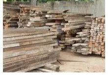madeira e eucalipto tratado na regiao de Jundiaí
